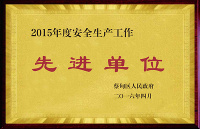 2015年度安全生产工作先进单位